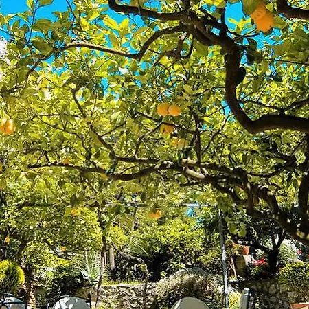 Nautilus Hotell Capri