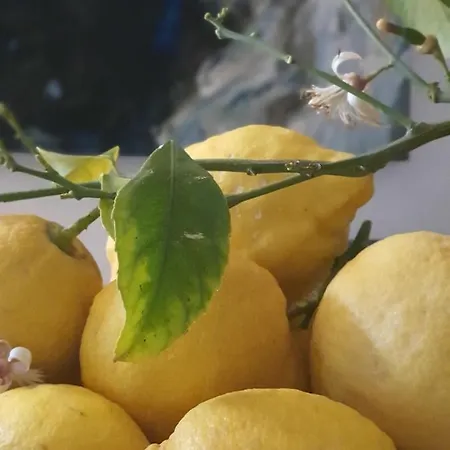 Nautilus מלון 3*