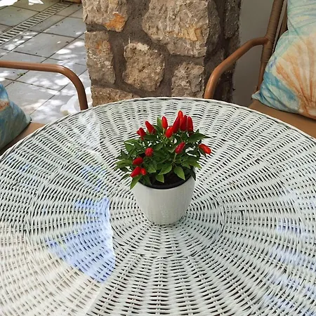 Nautilus 3*