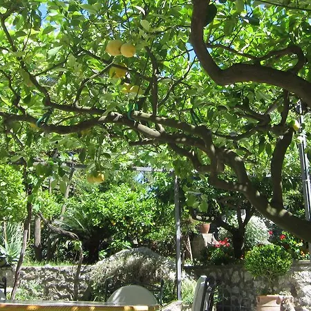 Nautilus Hotel Capri