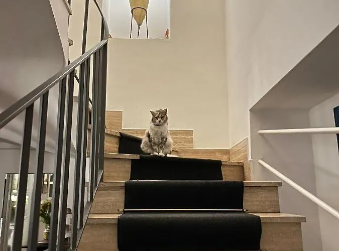 Hotel Nautilus Capri