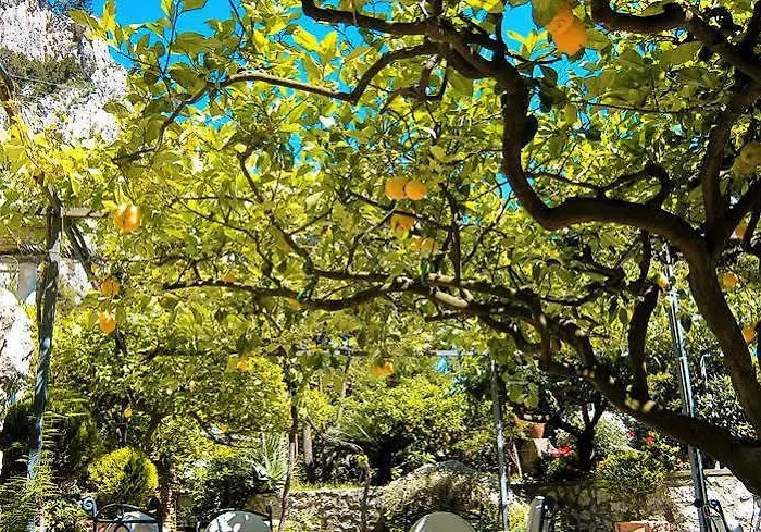 Nautilus Hotel Capri