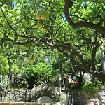 Nautilus Hotell Capri