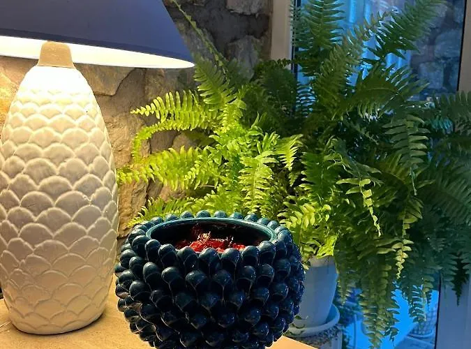 Nautilus 호텔 카프리