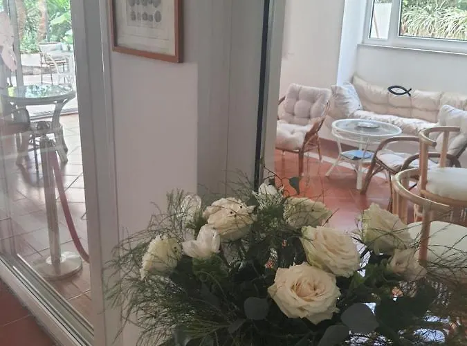 Nautilus 3* 카프리